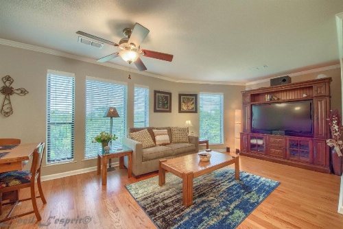 Yellow Rose CL 2459 home image 15