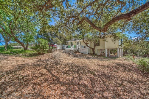 Yellow Rose CL 2459 home image 5